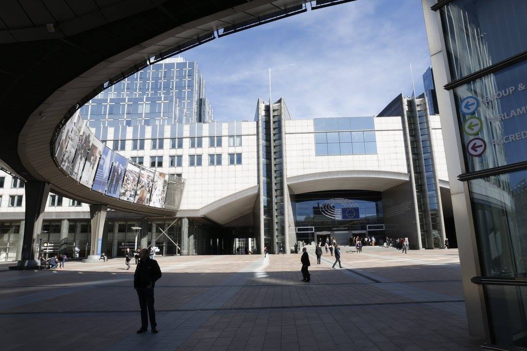 13062892 1089898717740808 3878898379223373029 o