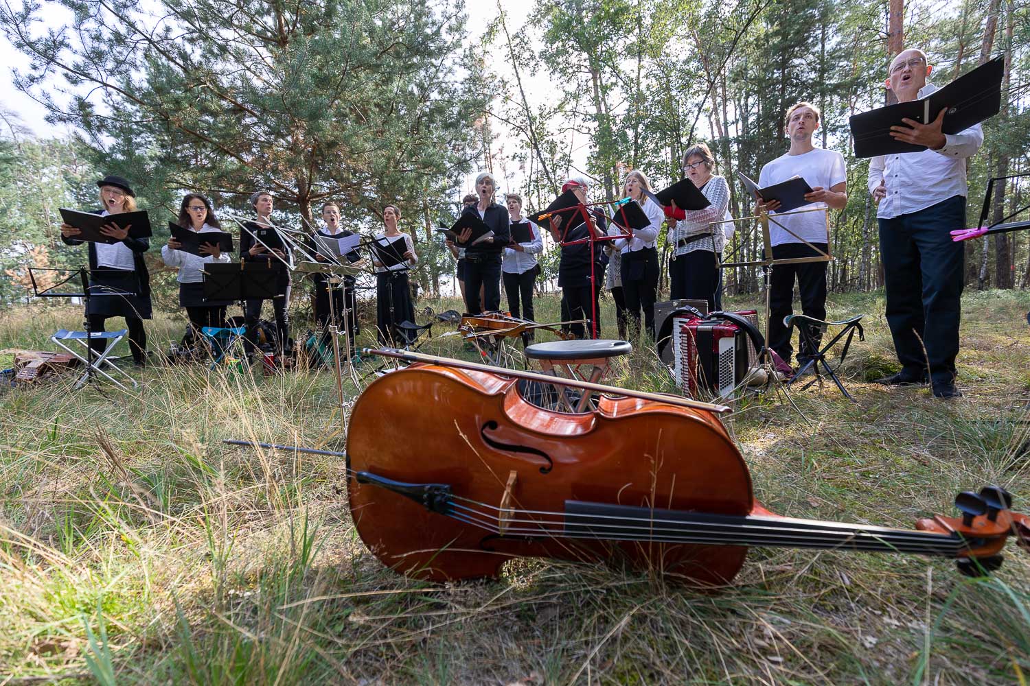 Die "Lebenslaute" tretEine Gruppe von Personen steht mit Notenblättern an Notenpulten zwischen Bäumenen in unserem Wald auf (Quelle: www.ideengruen.de | markus pichlmaier)