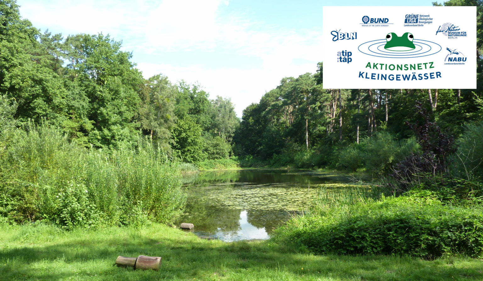 Vierling_ANKG_Logo_Bild_Beitrag_CM-e1648714260184-1536x894.png